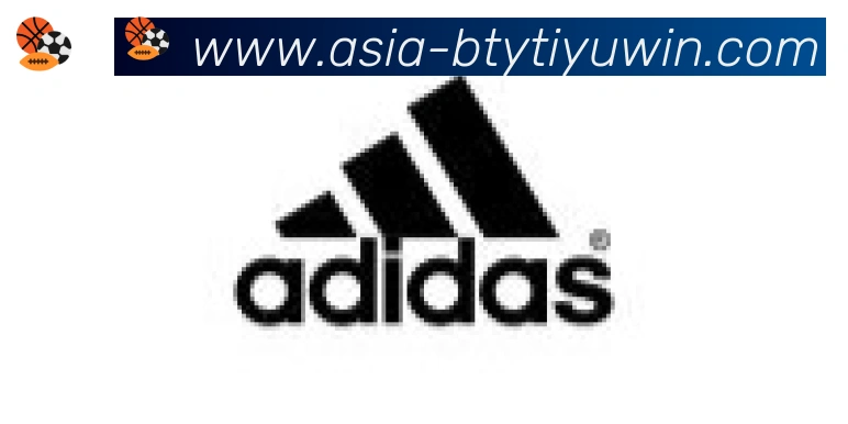 B体育官网合作伙伴
